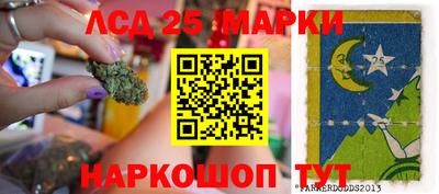 Альфа ПВП Кингисепп